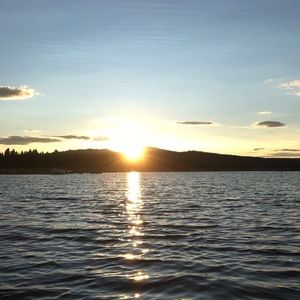 Meet your Posher, Brooklyn